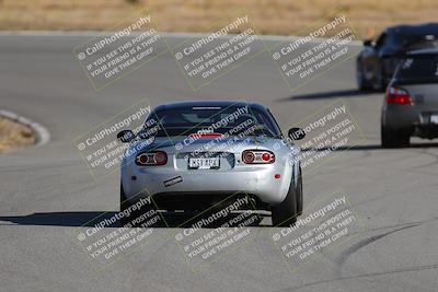 media/Nov-19-2023-Extreme Speed (Sun) [[bd0eec5490]]/Green/Back Shots/